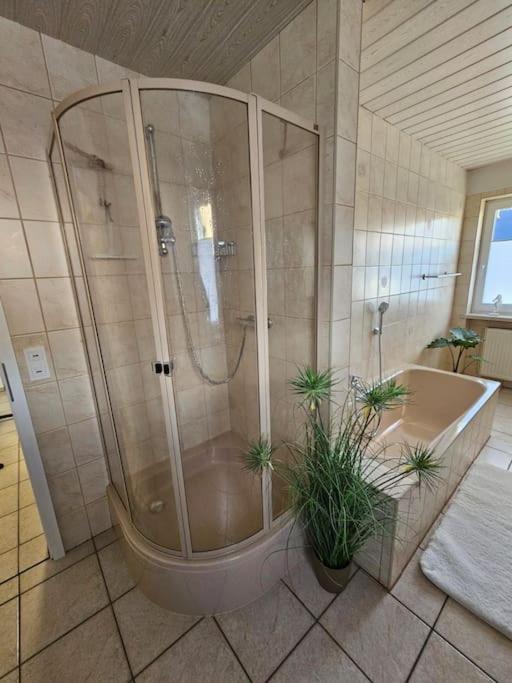 Ferienhaus Distelfink Entspannen In Der Mitte Von Deutschland Gudensberg Eksteriør bilde